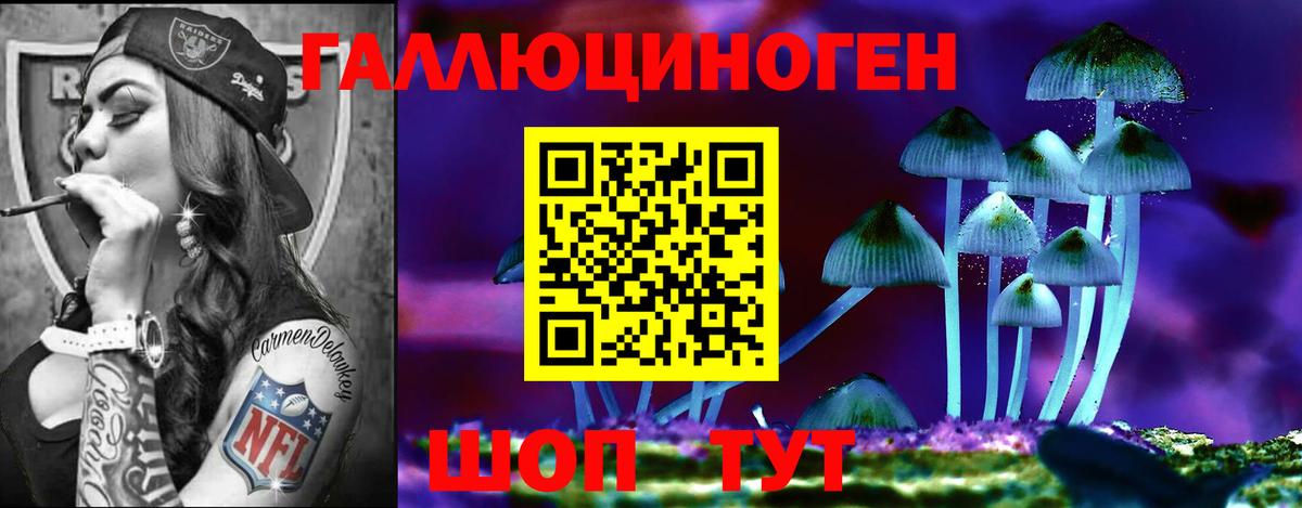 Галлюциногенные грибы Cubensis Шадринск