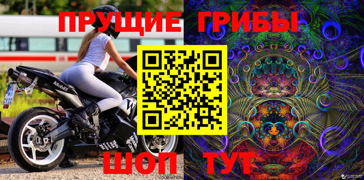 Шадринск  Галлюциногенные грибы Psilocybe  Псилоцибиновые грибы ЛСД  Вход с VPN 